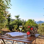 Nina-myrtia Countryside House Skopelos *