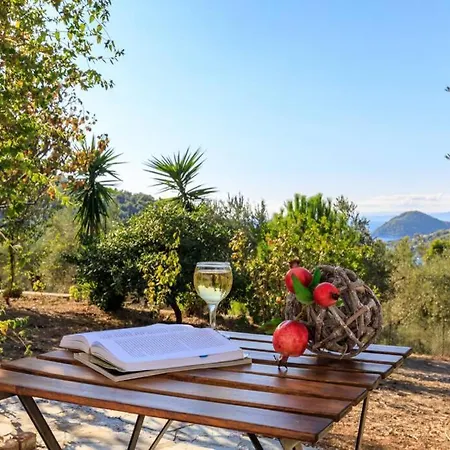 Nina-myrtia Countryside House Skopelos *